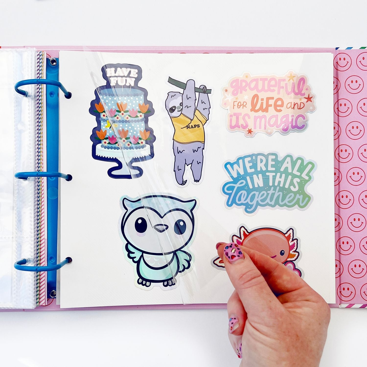 Colorful Stickers Sticker Keeper