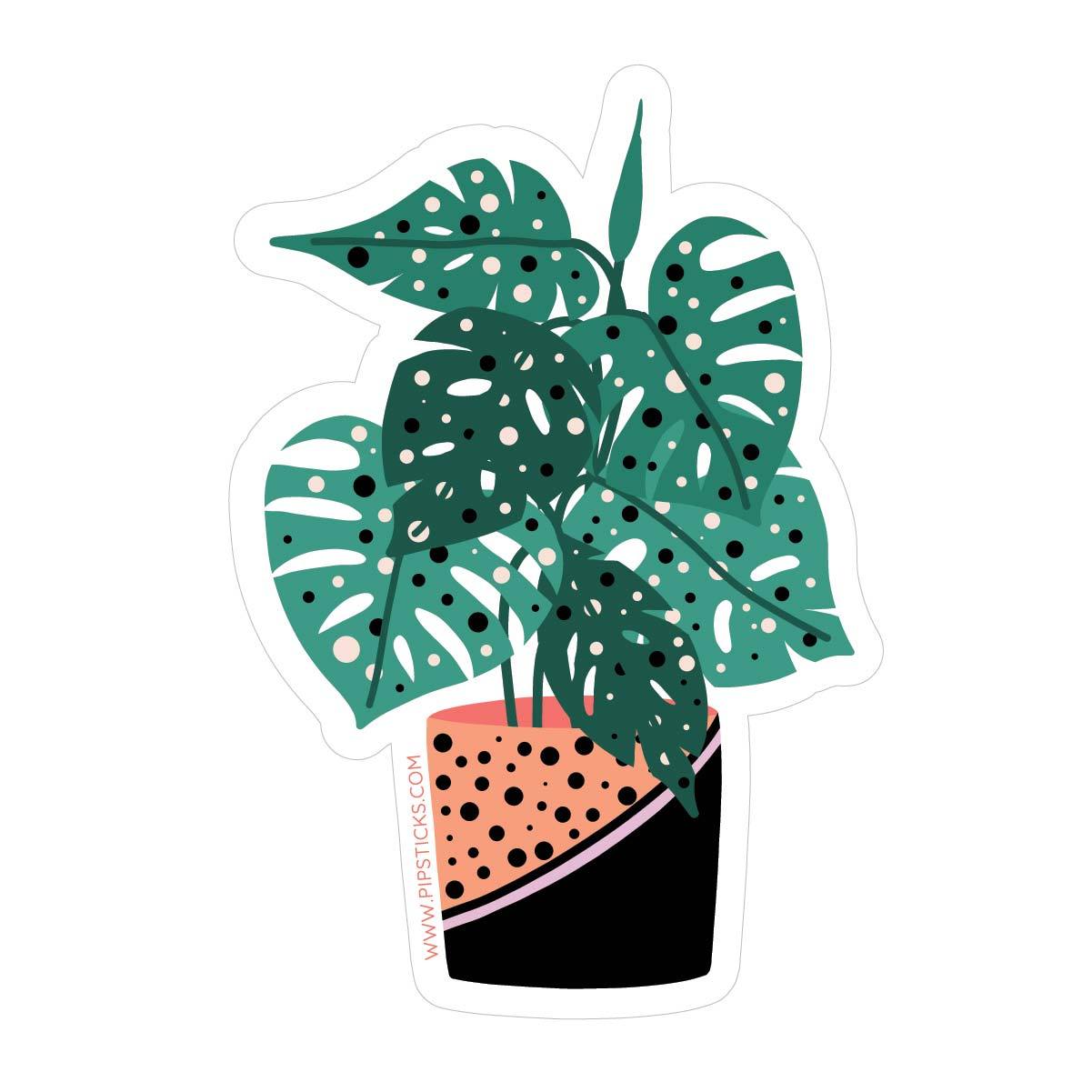 Monstera Vinyl