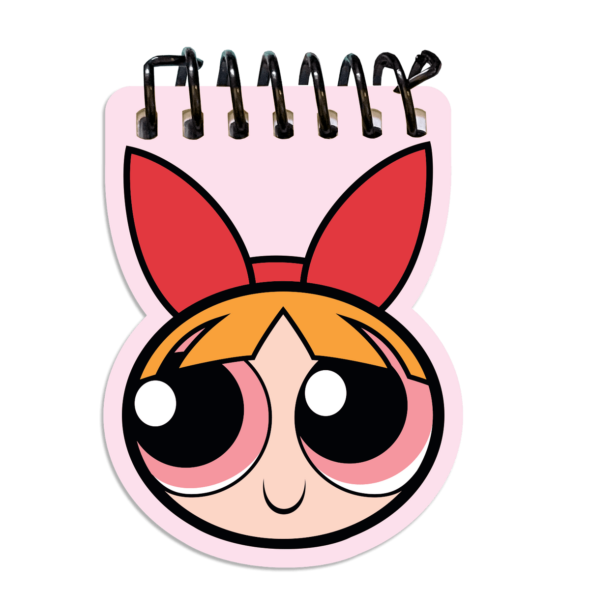 The Powerpuff Girls Blossoml Notebook