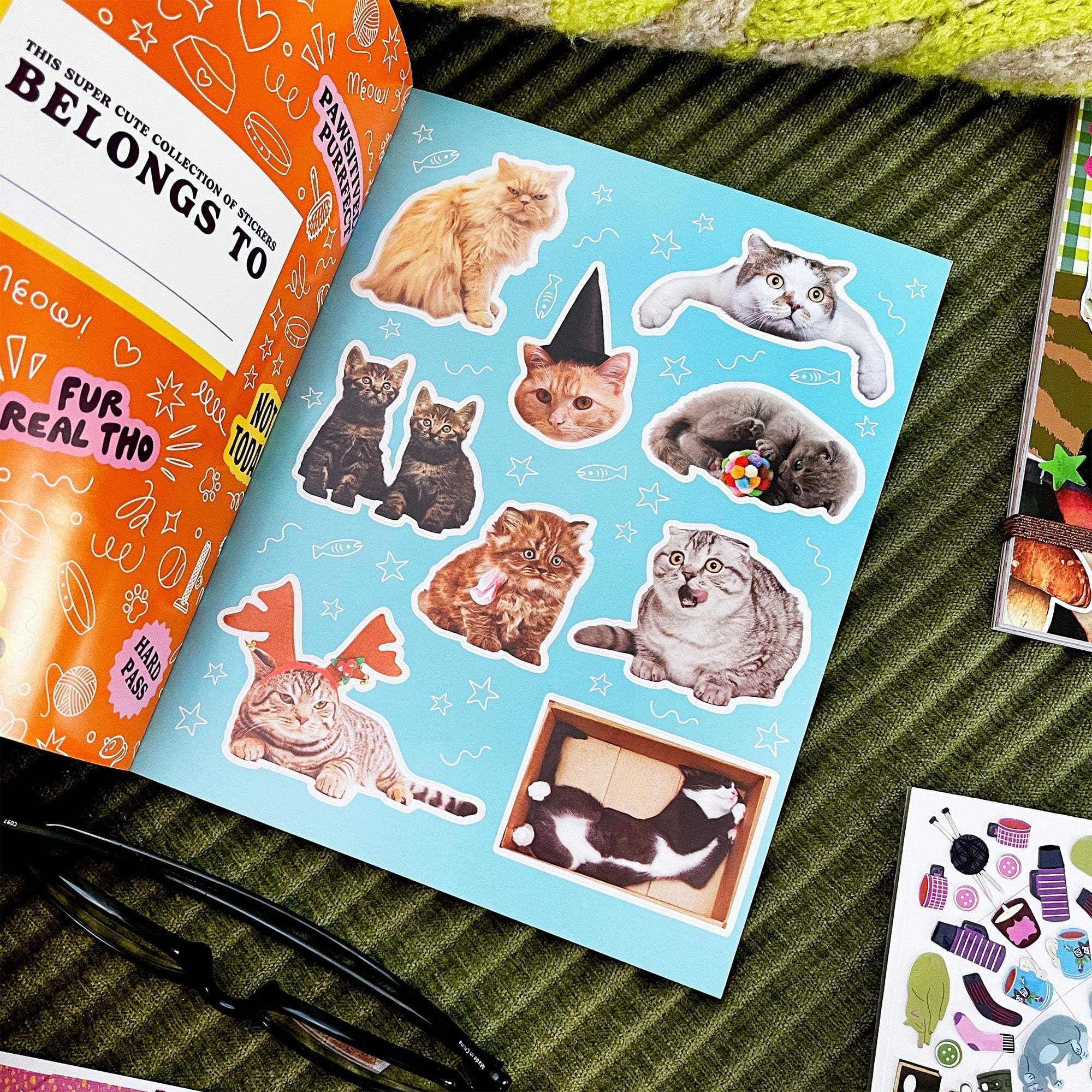 Hiss-terically Funny Cat Sticker Book