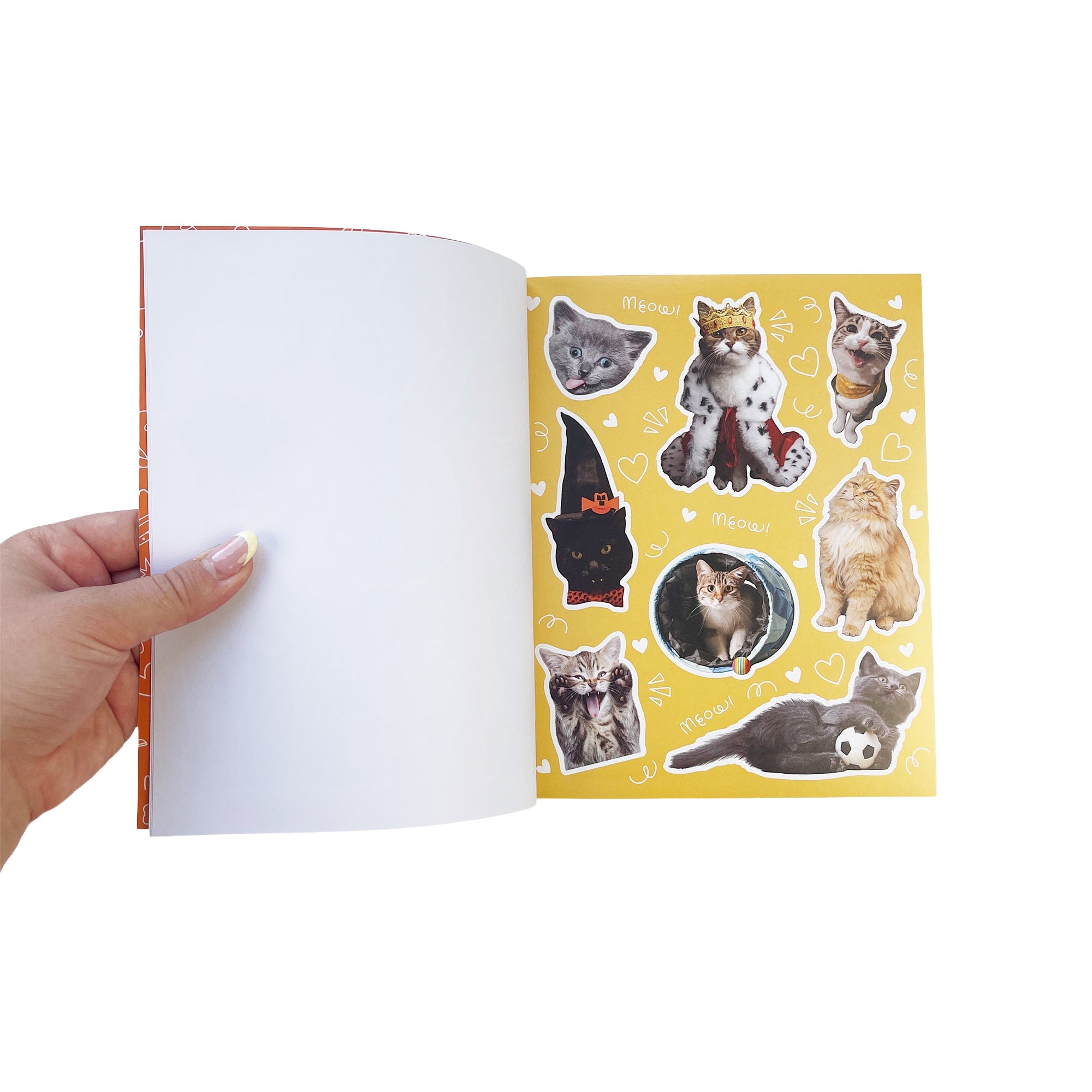 Hiss-terically Funny Cat Sticker Book